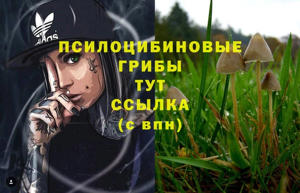 трава Новодвинск