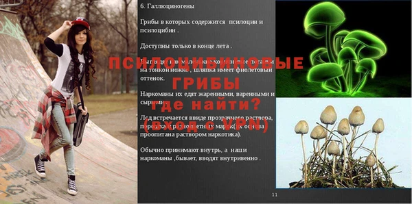таблы Няндома