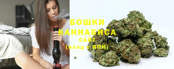 трава Новодвинск