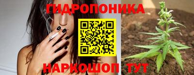 стаф Волжск