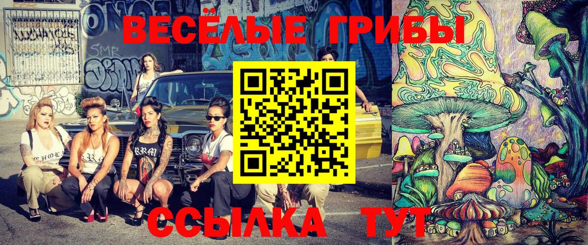 Псилоцибиновые грибы GOLDEN TEACHER Россошь