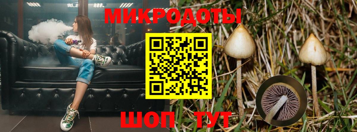 Галлюциногенные грибы мухоморы Россошь