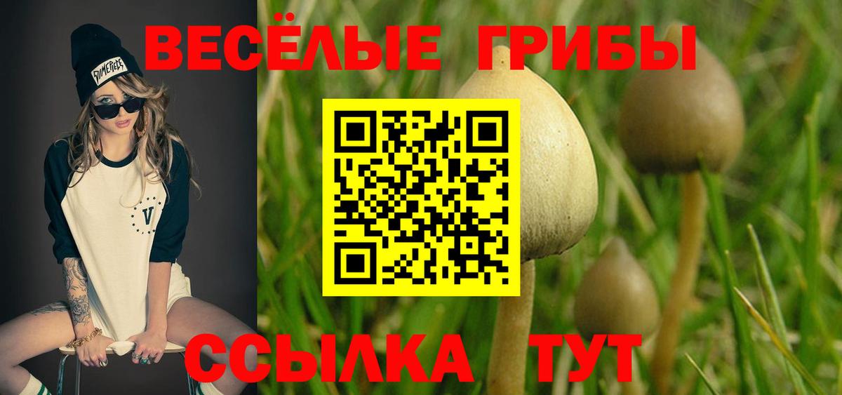 Россошь  Псилоцибиновые грибы GOLDEN TEACHER  Вход с VPN 