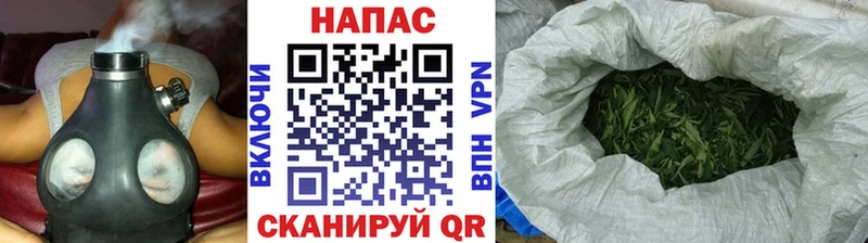 Марихуана план  Россошь 